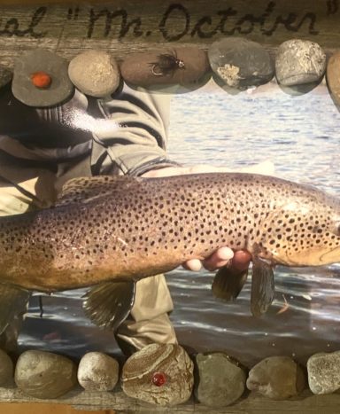 October Brown Trout