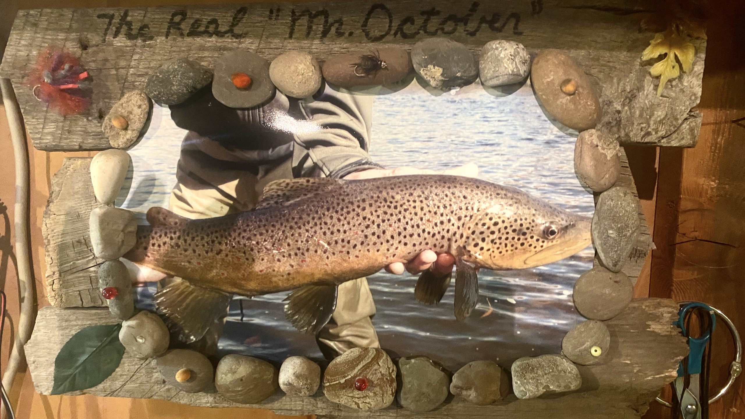 October Brown Trout